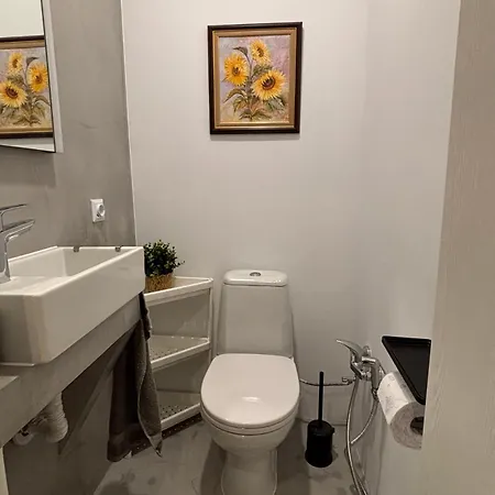 דירה Friends רוסה